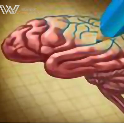 99% Citicoline Sodium Powder Brain Trauma Protection Cas 987-78-0