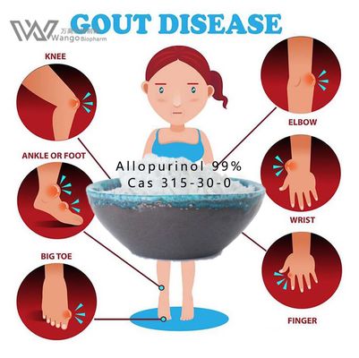Antigout API Zyloprim Allopurinol Powder 99% for treat kidney stones