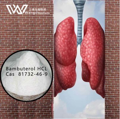 Bambuterol HCL 99% Środki przeciw astmie 81732-46-9 Do leczenia astmy oskrzelowej