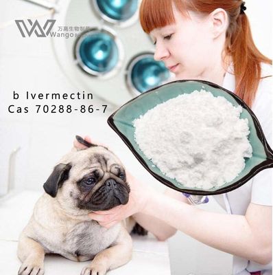 USP36 Pure Ivermectin Powder, Mk933 Środki przeciwpasożytnicze dla zwierząt domowych i weterynarzy