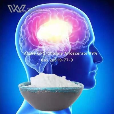 HPLC Nootropics Bulk Powders, Alpha Gpc Acetylocholina 28319-77-9